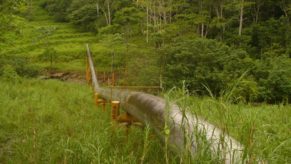 PETROPERÚ INFORMA AFLORAMIENTO MENOR DE PETRÓLEO EN KM 609 DEL  OLEODUCTO NOR PERUANO