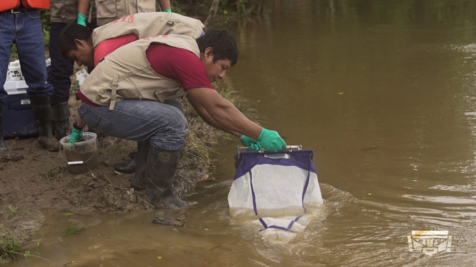 COMUNIDADES NATIVAS CONTINÚAN CAPACITÁNDOSE EN MONITOREO AMBIENTAL