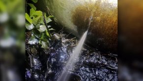 Atentado al Oleoducto Norperuano genera contingencia ambiental en la región Amazonas