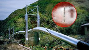 Petroperú denuncia nuevo corte intencional al Oleoducto Norperuano