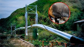 Nuevo atentado contra el Oleoducto Norperuano en la región Amazonas