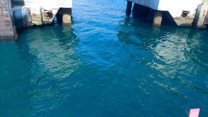 PETROPERÚ descarta fuga de crudo en Terminal Bayóvar
