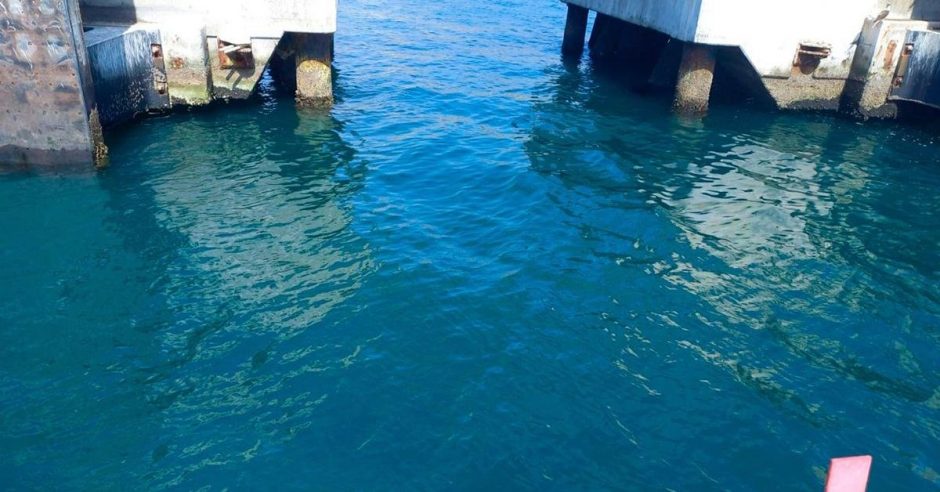 PETROPERÚ descarta fuga de crudo en Terminal Bayóvar