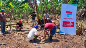 Comunidades amazónicas producirán cacao gracias a proyecto de Petroperú